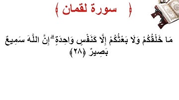 سورة لقمان الأية 28
