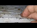 فريزر الثلاجة اتخرم اعرف الاسباب والحل لثقب الفريزر فريزر الثلاجة اتخرم اعرف الاسباب والحل لثقب الفريزر