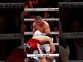Pitbull vs rolly Romero #boxing #fighting #fighter #pitbullcruz #rollyromero