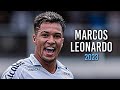 Marcos leonardo 2023  magic skills goals  assists 