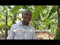 SCHOOLS IN KASESE BOOST AGRICULTURE FOR PRACTICAL LEARNING AND NUTRITION
