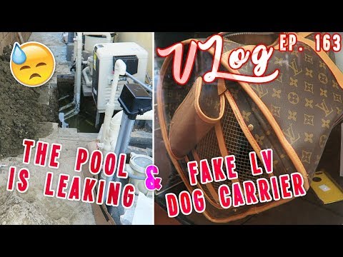 The Pools Leaking & Fake LV Dog Carrier | Vlog Ep. 163