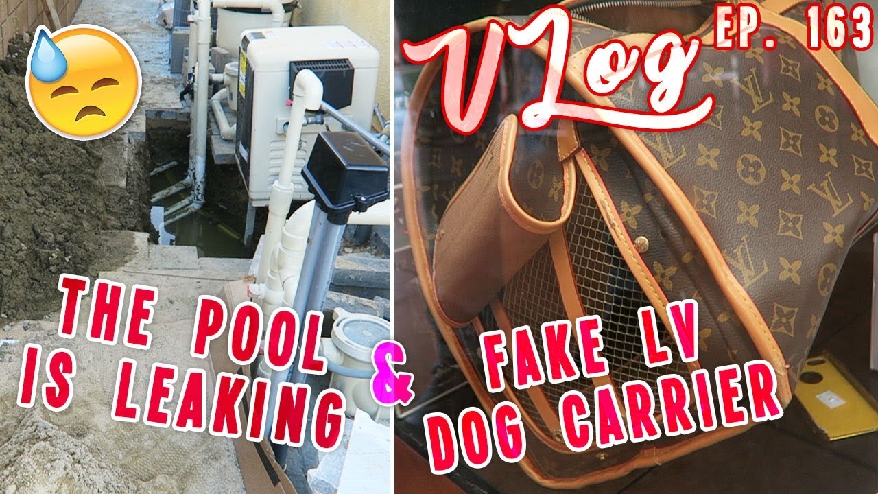 The Pools Leaking & Fake LV Dog Carrier