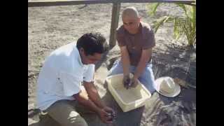 campamento tortuguero boca vieja, petacalco gro.