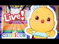 LIVE Learn with Canticos | Preschool &amp; Toddler Spanish Learning Videos | @canticosworld