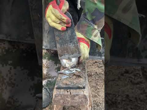 Take care of animals, donkey hoof trimming skills are very relaxing to watch.