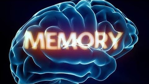 Memory- Concept, Meaning, Types, Components,  Factors influencing,  strategies and techniques