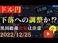 【ドル円】更なる下落への調整か⁉引き続き戻りを待ちたい。🐥2022/12/25🐥