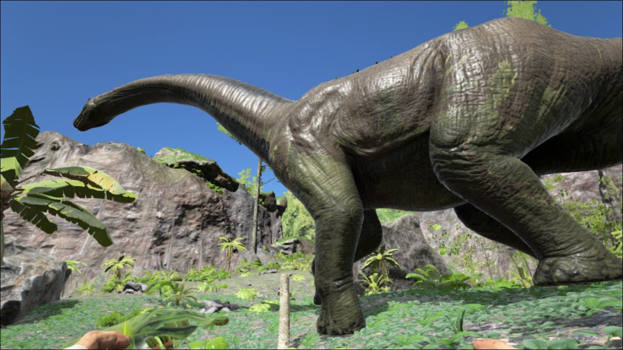 Ark Survival How To Tame A Bronto Lvl 20 YouTube Ark Survival How To Tame A Bronto Lvl 20 YouTube
