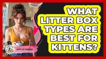 What Litter Box Types Are Best For Kittens? - Happy Cat Handbook