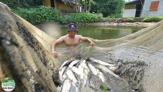 Nhà sàn Gái Bản (T25 )|Thăm ao cá nhà ông Viên sau 1 năm toàn cá to  tìm nguồn cá sạch cho nhà hàng