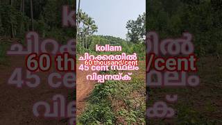 kollam 45 cent വില്പനയ്ക് 🏕 #45 cent plot for sale  #plot for sale kollam #littlebrothers-dq3td