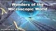 The Unseen World of Microscopic Organisms ile ilgili video