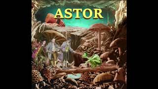 Video thumbnail of "ASTOR - Patos (Audio)"