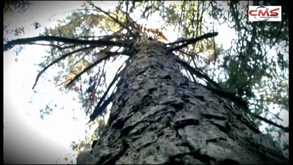 Treuil portable forest winch à câble avec enroulage automatique : matériel  forestier, treuil de débardage