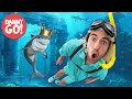 Sharks in the water 2 rise of the shark king  floor is lava game  danny go songs for kids