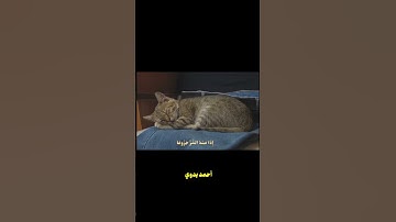 إن الإنسان خلق هلوعا ـ محمود علي البنا ـ سورة المعارج #قرآن #quran