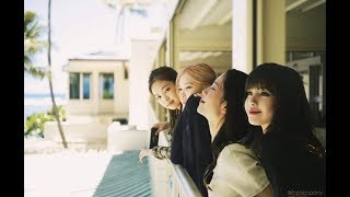 Blackpink Vacation Trip To Hawaii