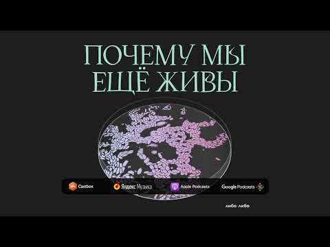 В царстве грибов: почему будущее человечества в руках микологов