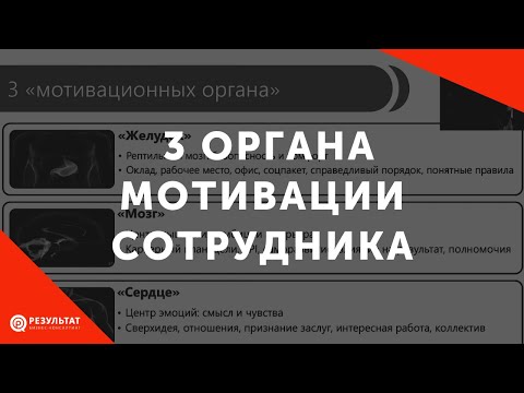 3 "мотивационных органа" ваших сотрудников