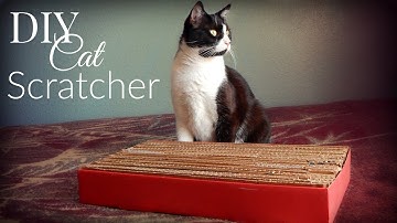 DIY Cat Toys: Cardboard Cat Scratcher | The Sweetest Journey