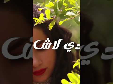 عزف محسن الزيتوني   في قصيد تتنهدي لاش الشاعر يحي الحامدي