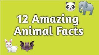 Amazing Facts About Animals @SelfWritingWorld