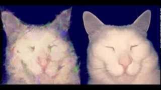 Genetic Image Search - Hill Climbing