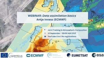 Data assimilation basics- Antje Inness (ECMWF)