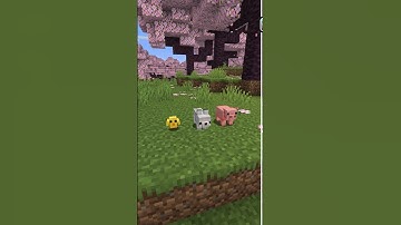 Best minecraft 3D resource packs PT.274 #minecraft #texturepacks #shorts #texturepack #resourcepacks
