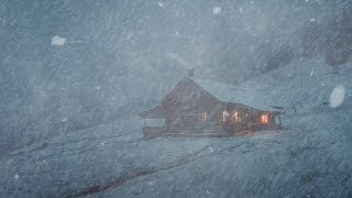 Intense Snowstorm & Snow Storm Sounds for Sleeping┇Frosty Mountain Wind Sound & Winter Ambience