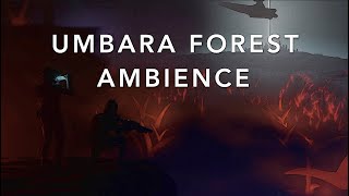 Umbara Forest Ambience: Clone Sniper Team