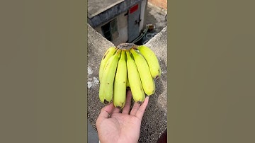 Experiment: Will bananas and watermelons explode when they roll down a tall building? 🍉🍌#shorts