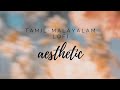 Aesthetic tamil malayalam lofi songs to relax 