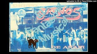 Video thumbnail of "El dolor (disco) Grupo Signos de Arani"