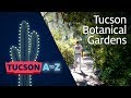 Tucson Botanical Gardens | Tucson A to Z