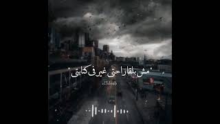 اغاني عمار حسني كبرنا الشارع مش بيربي احنا اتشوهنا حلات وتساب عمار حسني