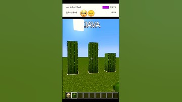 Minecraft Java Vs Bedrock.  #minecraftshorts #minecraft #java #bedrock #mcpe