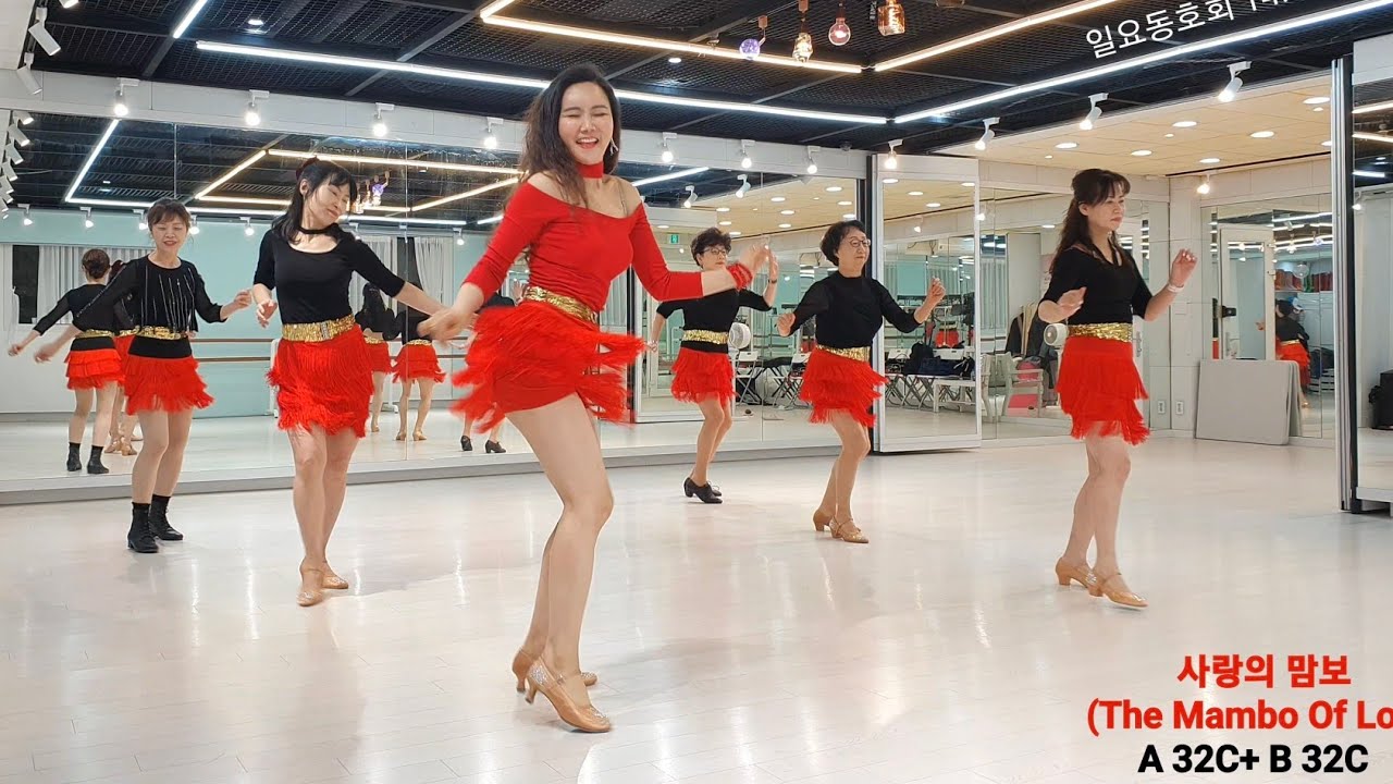 사랑의 맘보 라인댄스 | The Mambo Of Love line dance | 초급| High Beginner |  사)라인댄스 위더스코리아 협회 | 