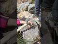 You won’t believe what was hidden inside this stone… 😳