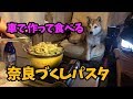 【わんこと車ごはん】車で作る奈良のご当地グルメ🍴4K