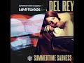 Limitless vs. Summertime Sadness(Martin Garrix Mashup) BFH Music Remake