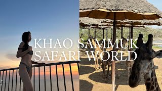 VLOG | Khao sammuk🐒,Safari world🦒🦓, The Sanctuary of Thruth🙏🏻