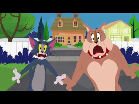 The Tom and Jerry Show - Heres Looking A Choo Kid - Funny animals cartoons for kids
