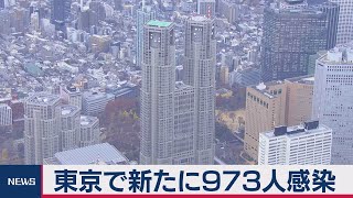 東京で973人の感染確認（2021年1月27日）