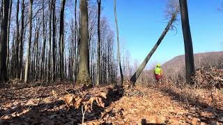 : Tazba buka Stihl 500i .. Ked to pad'a do smeru :)