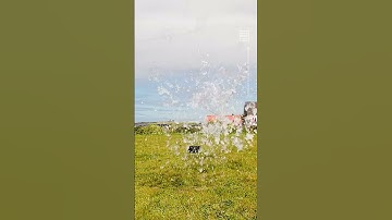 Couple Sets World Record for Largest Ever 