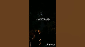 نور على نور بصوت القارئ شريف مصطفى