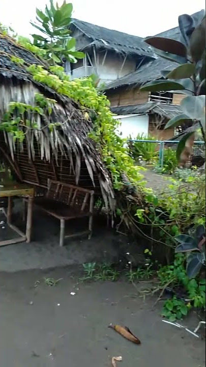 Story' WA main di cafe pinggir pantai diwaktu pagi hari 2021