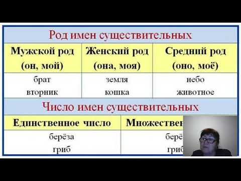 Существительное Род. Число. Падеж.